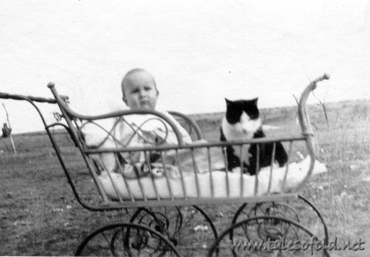 A Baby and Kitty in a Buggy