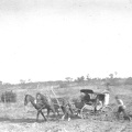 A Stagecoach Between Seymore, Texas, and Dickens County, Texas